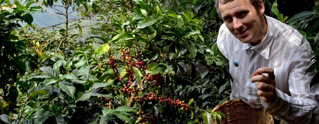 fair-trade-standa