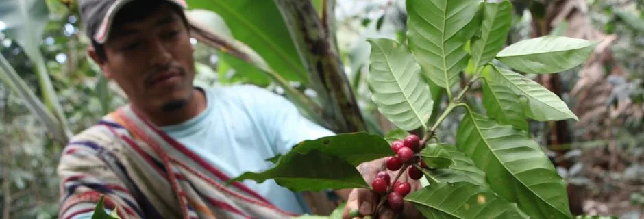 titulka_nazemi-a-fairtrade